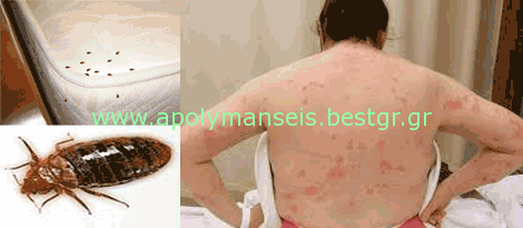 Απολύμανση για κοριούς με χαμηλές τιμές